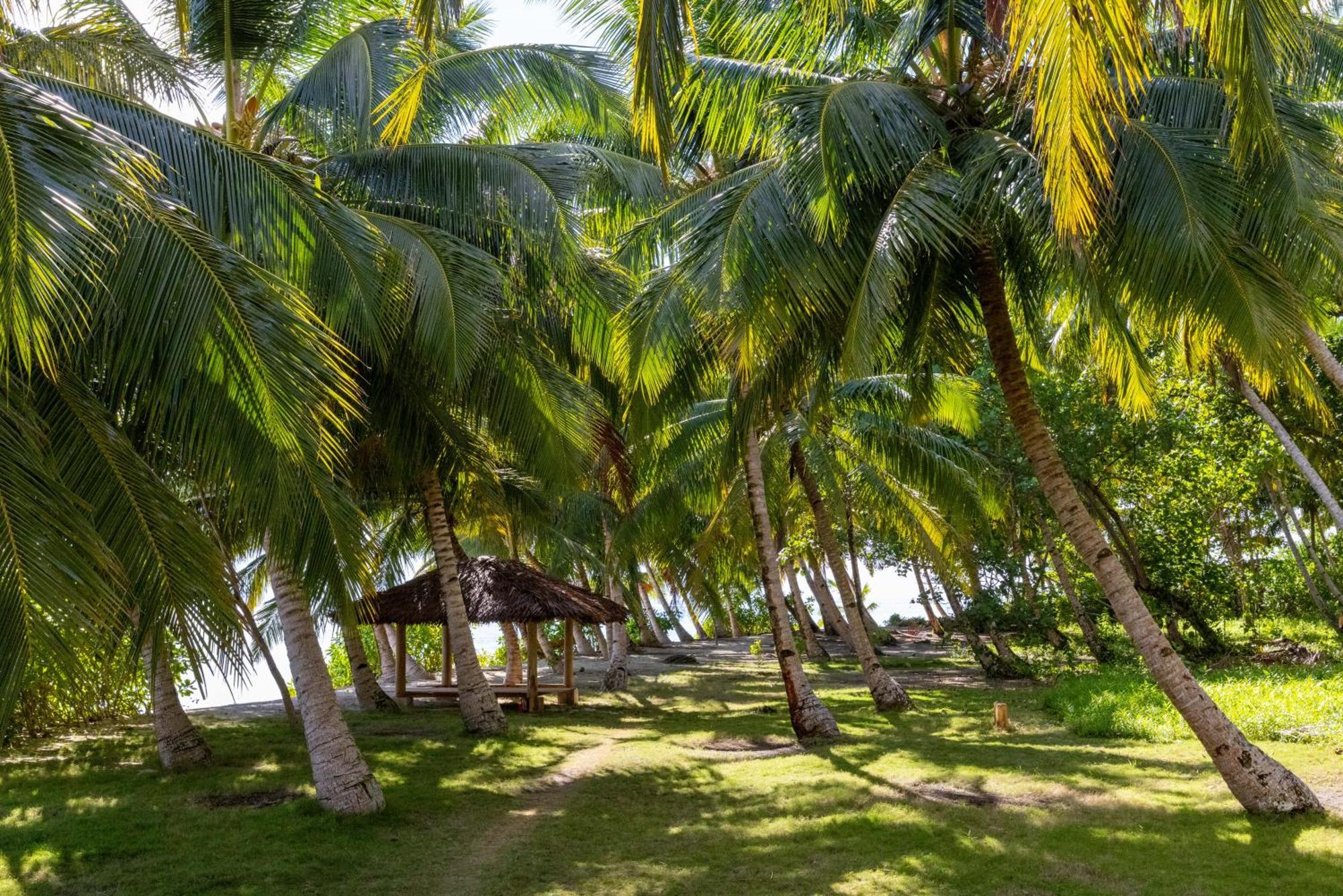Aloita Resort Mentawai Tua Pejat Eksteriør billede